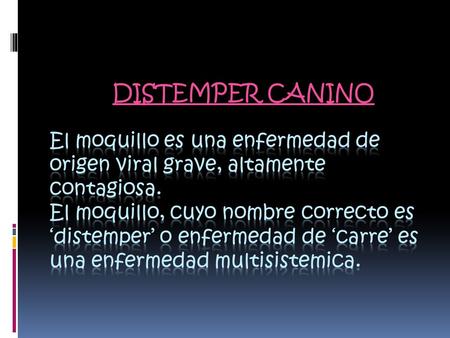 DISTEMPER CANINO El moquillo es una enfermedad de origen viral grave, altamente contagiosa. El moquillo, cuyo nombre correcto es ‘distemper’ o enfermedad.