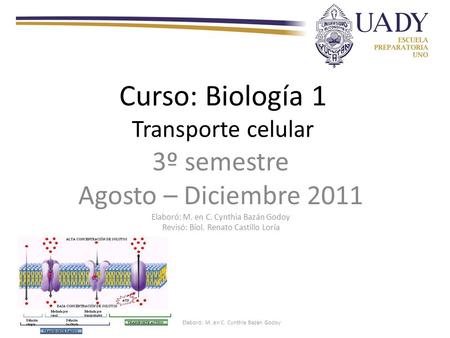 Curso: Biología 1 Transporte celular