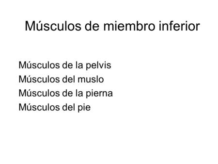 Músculos de miembro inferior