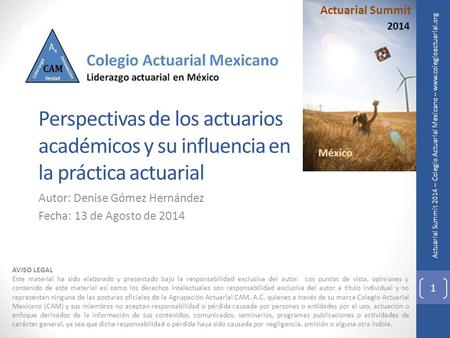 Actuarial Summit 2014 – Colegio Actuarial Mexicano – www.colegioactuarial.org Perspectivas de los actuarios académicos y su influencia en la práctica actuarial.