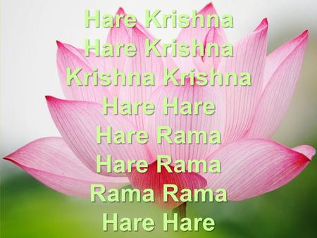 Hare Krishna Hare Krishna Krishna Krishna Hare Hare Hare Rama Rama Rama Hare Hare.