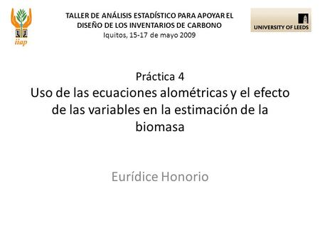 TALLER DE ANÁLISIS ESTADÍSTICO PARA APOYAR EL DISEÑO DE LOS INVENTARIOS DE CARBONO Iquitos, 15-17 de mayo 2009 Eurídice Honorio Práctica 4 Uso de las ecuaciones.