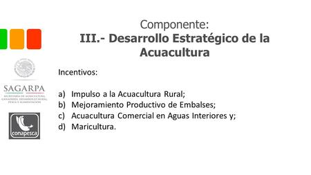 III.- Desarrollo Estratégico de la Acuacultura