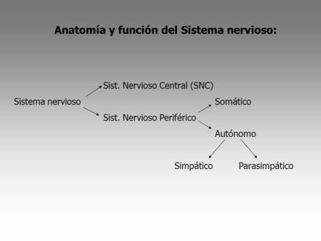 Anatomía y función del Sistema nervioso: