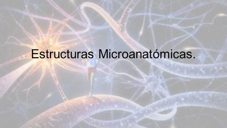 Estructuras Microanatómicas.