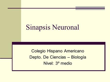 Sinapsis Neuronal Colegio Hispano Americano