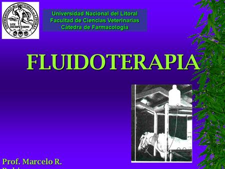 FLUIDOTERAPIA Prof. Marcelo R. Rubio Universidad Nacional del Litoral