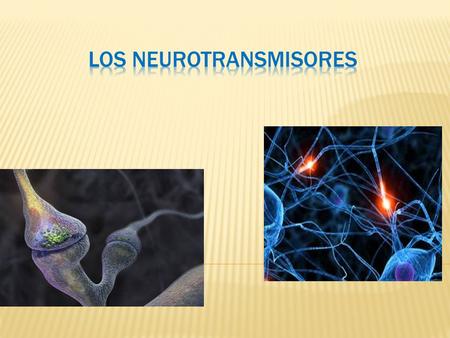 LOS Neurotransmisores