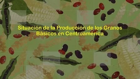 Situación de la Producción de los Granos Básicos en Centroamérica