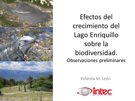 Efectos del crecimiento del Lago Enriquillo sobre la biodiversidad