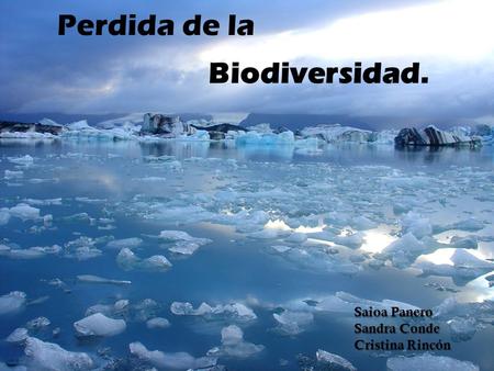 Perdida de la Biodiversidad. Saioa Panero Sandra Conde Cristina Rincón.
