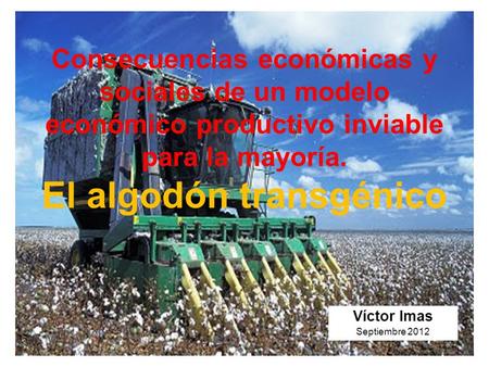 Consecuencias económicas y sociales de un modelo económico productivo inviable para la mayoría. El algodón transgénico Víctor Imas Septiembre 2012.