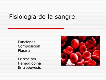 Fisiología de la sangre.