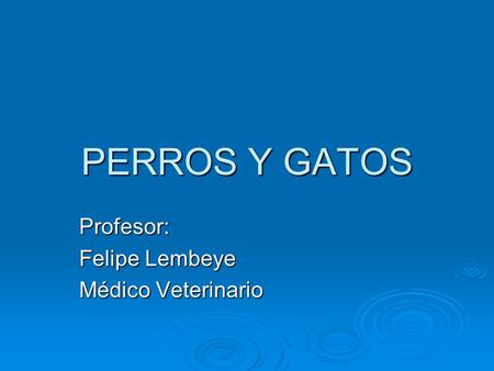 Profesor: Felipe Lembeye Médico Veterinario