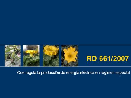 RD 661/2007 Que regula la producción de energía eléctrica en régimen especial.