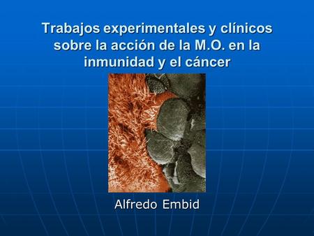 Trabajos experimentales y clínicos sobre la acción de la M. O