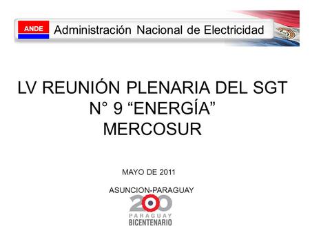 ANDE Administración Nacional de Electricidad LV REUNIÓN PLENARIA DEL SGT N° 9 “ENERGÍA” MERCOSUR MAYO DE 2011 ASUNCION-PARAGUAY.