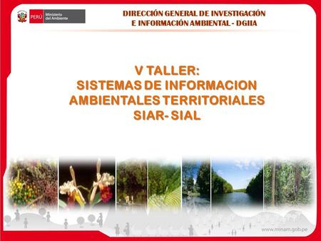 V TALLER: SISTEMAS DE INFORMACION AMBIENTALES TERRITORIALES SIAR- SIAL DIRECCIÓN GENERAL DE INVESTIGACIÓN E INFORMACIÓN AMBIENTAL - DGIIA.