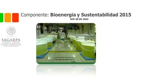 Componente: Bioenergia y Sustentabilidad 2015 DOF 28 DIC 2014.