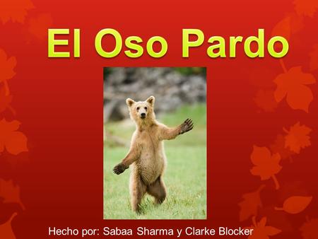 El Oso Pardo Hecho por: Sabaa Sharma y Clarke Blocker.
