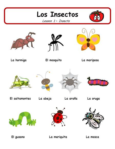 Los Insectos Lesson 1 – Insects La hormiga El mosquito La mariposa