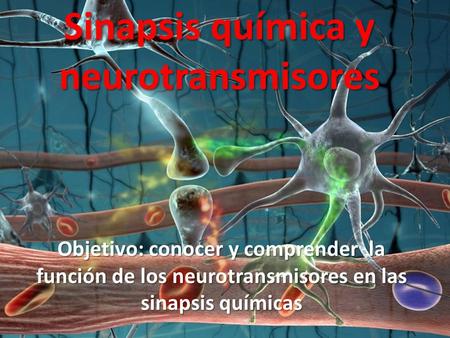 Sinapsis química y neurotransmisores