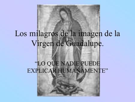 Los milagros de la imagen de la Virgen de Guadalupe.
