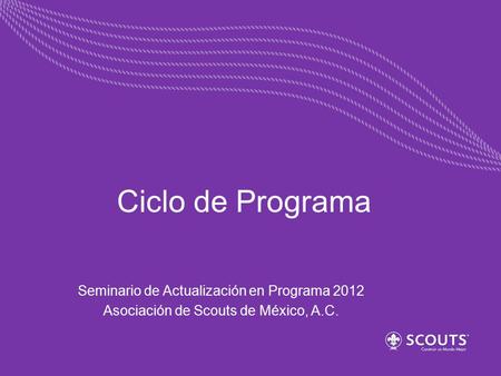 Ciclo de Programa Seminario de Actualización en Programa 2012
