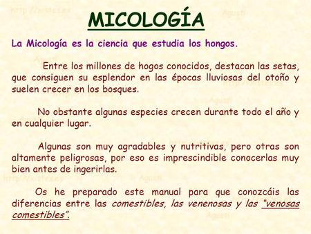 MICOLOGÍA La Micología es la ciencia que estudia los hongos.