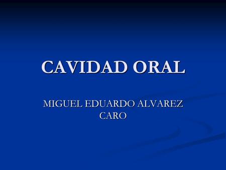 MIGUEL EDUARDO ALVAREZ CARO