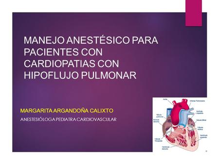 Margarita argandoña calixto Anestesióloga pediatra cardiovascular