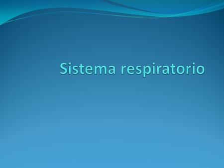 Sistema respiratorio.