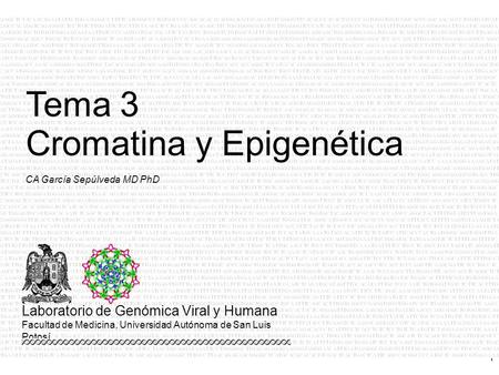Cromatina y Epigenética