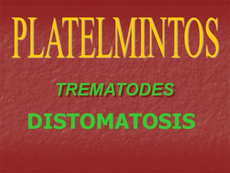 PLATELMINTOS TREMATODES DISTOMATOSIS.