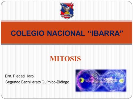MITOSIS COLEGIO NACIONAL “IBARRA” Dra. Piedad Haro Segundo Bachillerato Químico-Biólogo.