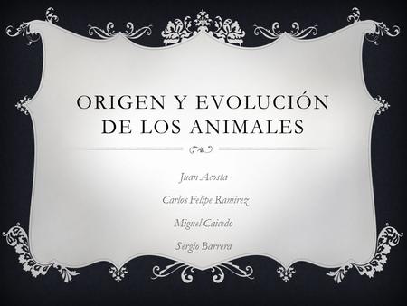Origen y evolución de los animales