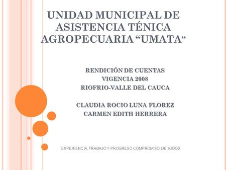 UNIDAD MUNICIPAL DE ASISTENCIA TÉNICA AGROPECUARIA “UMATA ” RENDICIÓN DE CUENTAS VIGENCIA 2008 RIOFRIO-VALLE DEL CAUCA CLAUDIA ROCIO LUNA FLOREZ CARMEN.