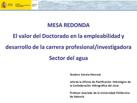 MESA REDONDA El valor del Doctorado en la empleabilidad y desarrollo de la carrera profesional/investigadora Sector del agua Teodoro Estrela Monreal Jefe.
