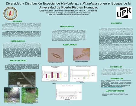 Diversidad y Distribución Espacial de Navicula sp. y Pinnularia sp