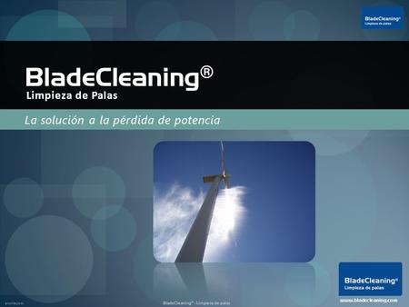 Enviria.com BladeCleaning® - Limpieza de palas La solución a la pérdida de potencia BladeCleaning ® www.bladecleaning.com Limpieza de Palas.