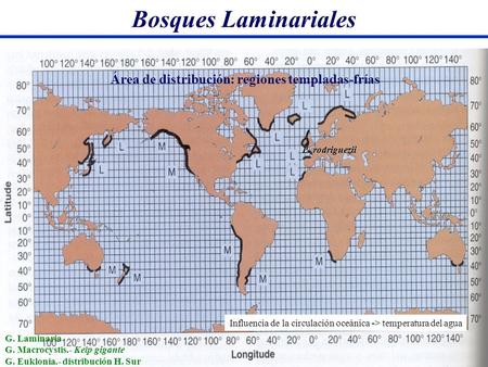 Bosques Laminariales Área de distribución: regiones templadas-frías