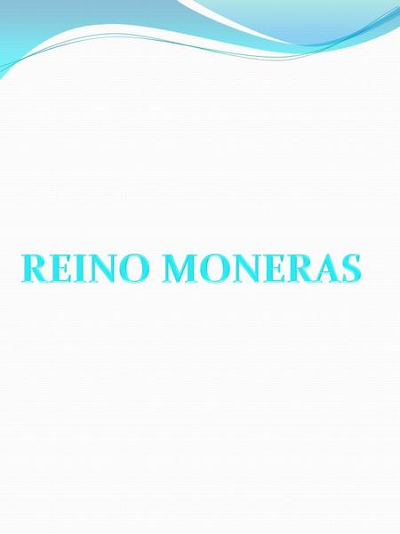 REINO MONERAS.