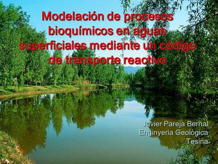 Modelación de procesos bioquímicos en aguas superficiales mediante un código de transporte reactivo Javier Pareja Bernal Enginyeria Geològica Tesina.