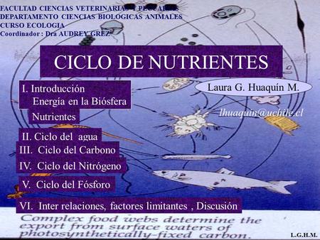 CICLO DE NUTRIENTES Laura G. Huaquín M. I. Introducción