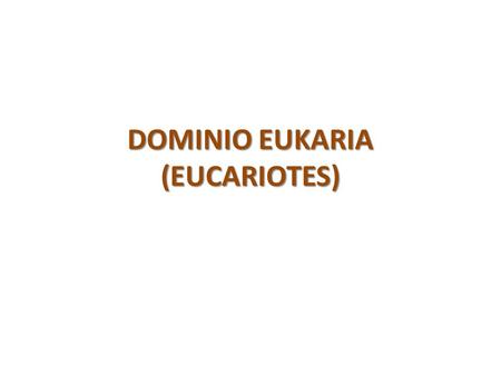 DOMINIO EUKARIA (EUCARIOTES)
