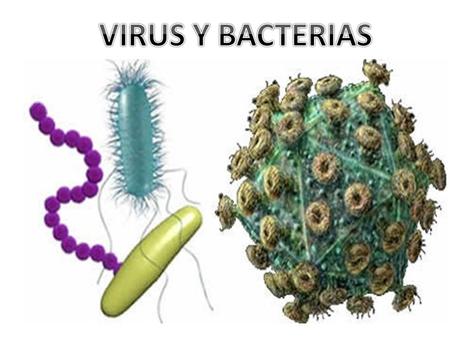 VIRUS *Los virus no pertenecen a ninguno de los cinco reinos.