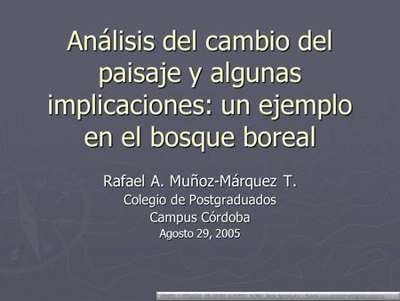 Análisis del cambio del paisaje y algunas implicaciones: un ejemplo en el bosque boreal Rafael A. Muñoz-Márquez T. Colegio de Postgraduados Campus Córdoba.