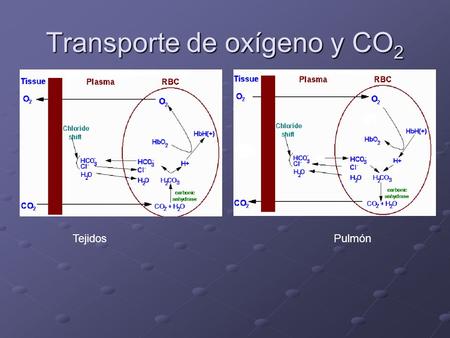Transporte de oxígeno y CO2