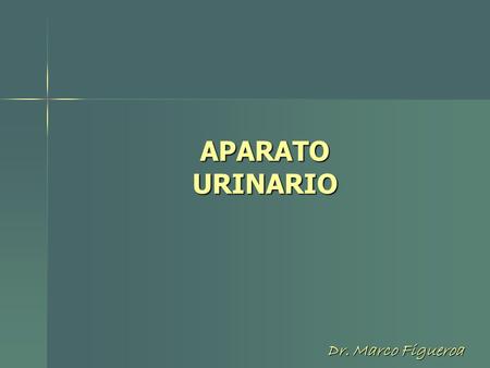 APARATO URINARIO Dr. Marco Figueroa.