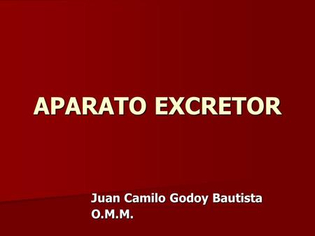 Juan Camilo Godoy Bautista O.M.M.
